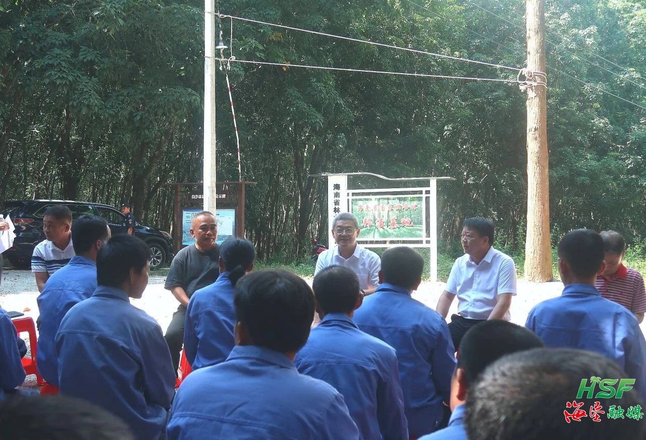 艾轶伦一行人在suncitygroup太阳集团邦溪分公司邦溪派驻组十六队胶林里与胶工座谈